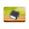 HOME FLP 1000 SOLAR Szolárpaneles LED reflektor mozgásérzékelővel 10 W